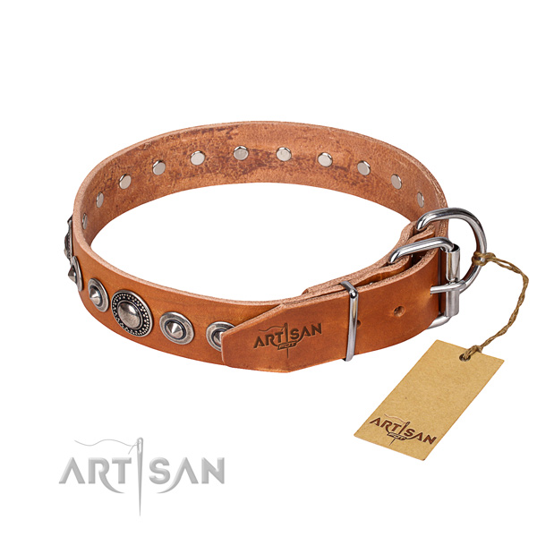 Full grain natural leather dog collar made of quality material with reliable embellishments