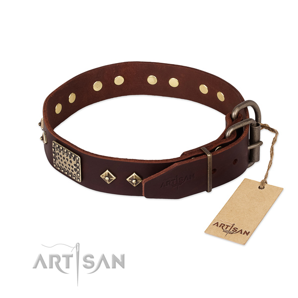 Full grain genuine leather dog collar with corrosion proof fittings and embellishments