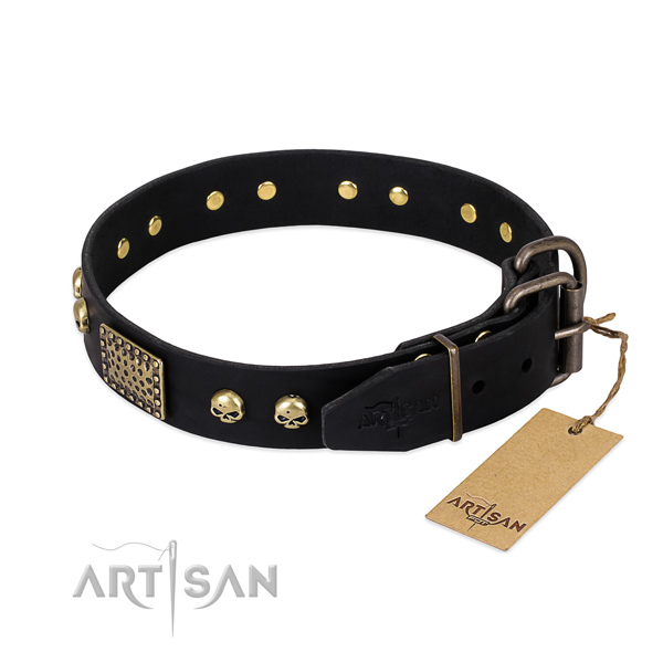 Rust resistant traditional buckle on handy use dog collar
