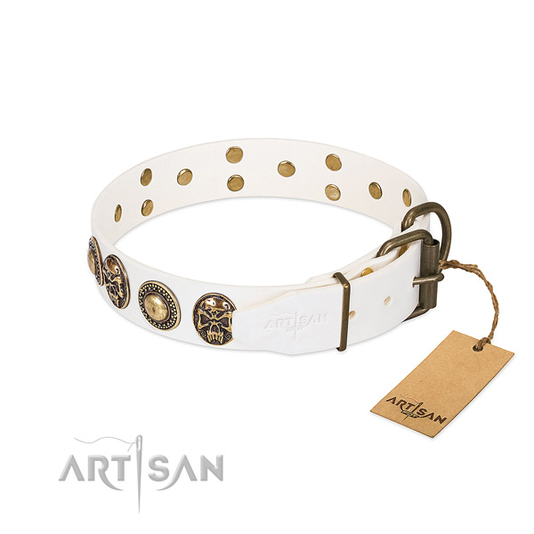 Durable decorations on everyday use dog collar