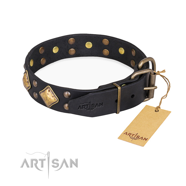 Full grain leather dog collar with trendy corrosion proof adornments