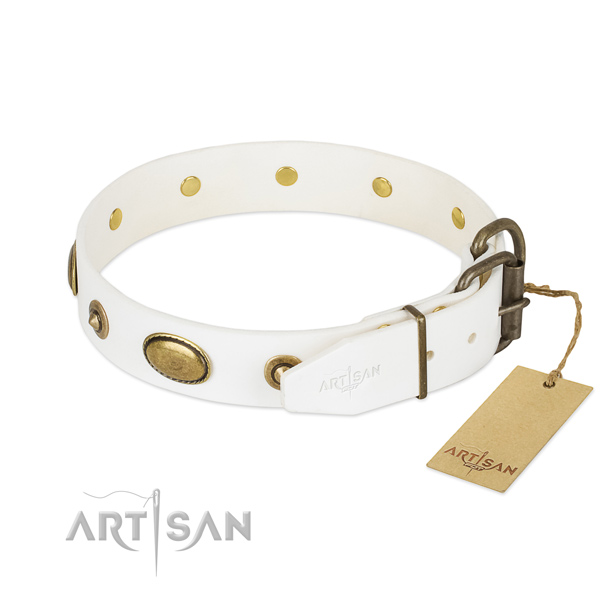 Rust resistant hardware on leather dog collar for your pet