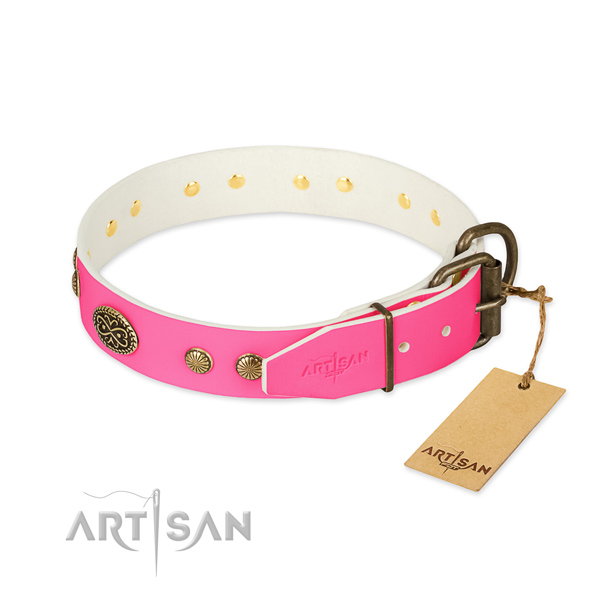 Corrosion resistant decorations on full grain leather dog collar for your four-legged friend