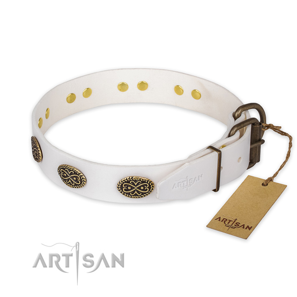 Rust resistant D-ring on genuine leather collar for daily walking your four-legged friend
