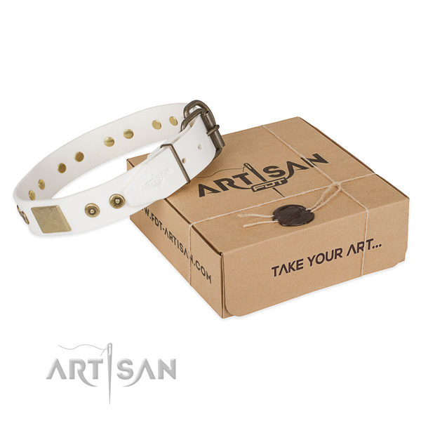 Convenient genuine leather collar for your attractive pet