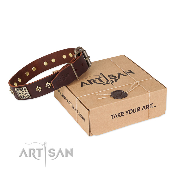 Inimitable full grain genuine leather collar for your handsome four-legged friend