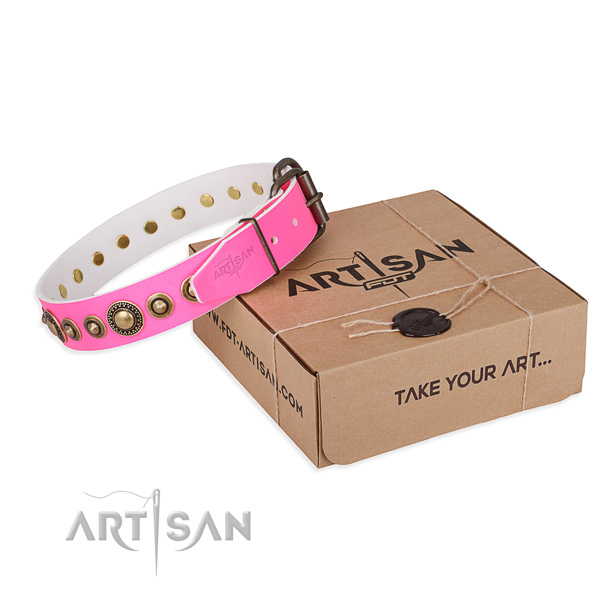 Quality full grain natural leather dog collar crafted for fancy walking