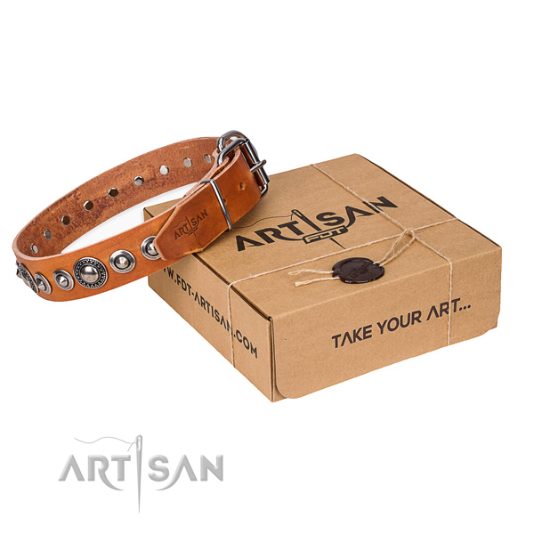 Full grain leather dog collar made of reliable material with corrosion resistant hardware