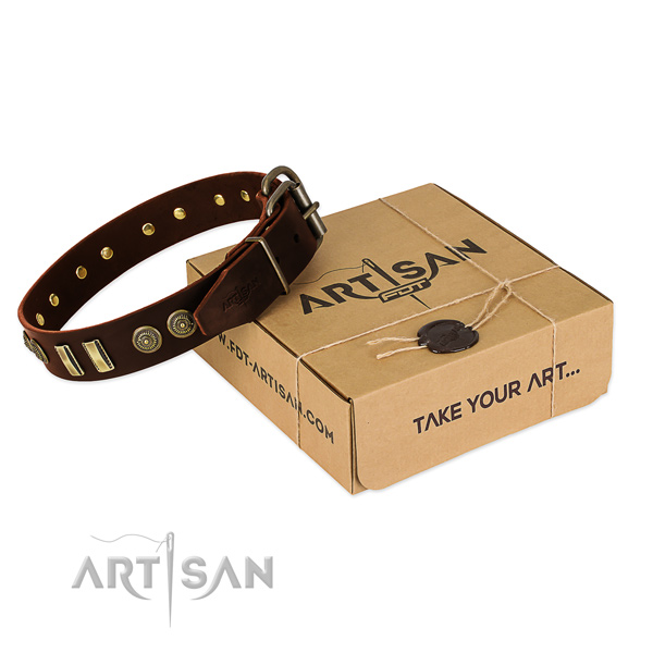 Reliable fittings on leather dog collar for your four-legged friend
