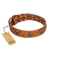 "Rockstar" FDT Artisan Tan Leather English Bull Terrier Collar with Engraved Studs and Medallions