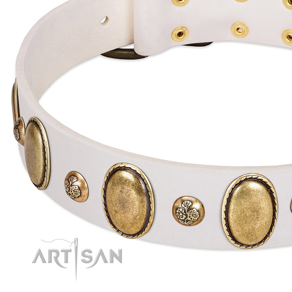 Leather dog collar with unique adornments