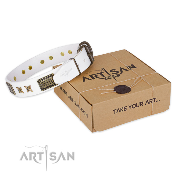 Reliable fittings on genuine leather collar for your beautiful canine