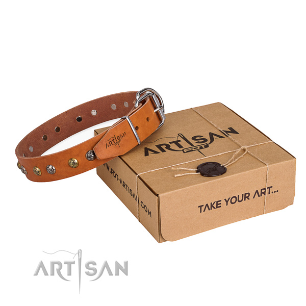 Daily walking dog collar with Inimitable rust resistant embellishments