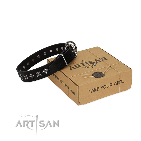 Everyday use dog collar of finest quality full grain genuine leather with embellishments