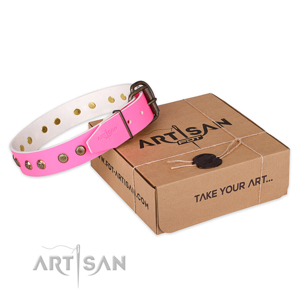 Rust resistant buckle on full grain natural leather collar for your handsome dog