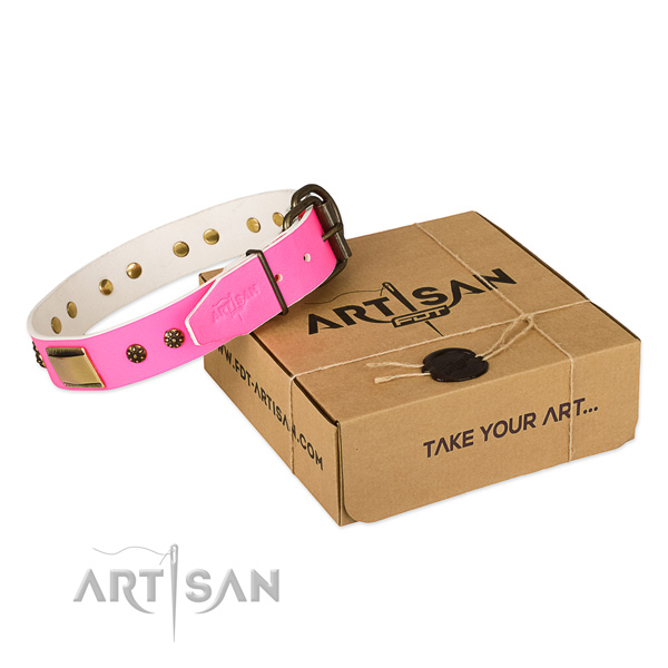 Incredible full grain leather collar for your handsome doggie