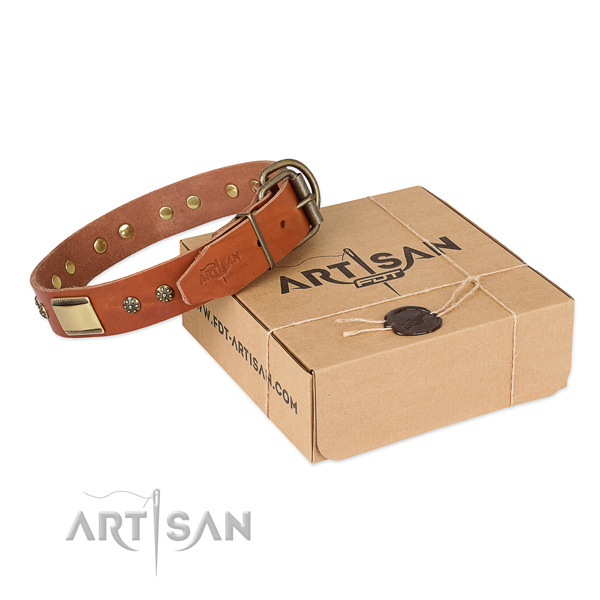 Exquisite leather collar for your impressive four-legged friend