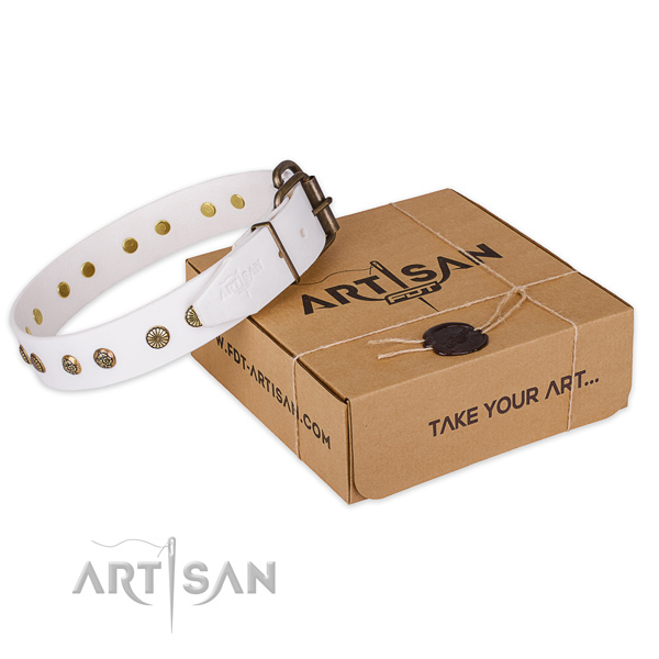 Corrosion proof fittings on full grain natural leather collar for your impressive pet