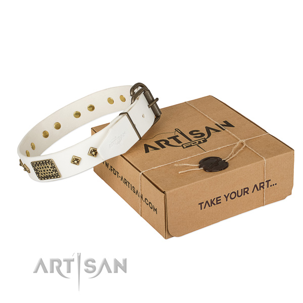 Unusual genuine leather collar for your handsome pet
