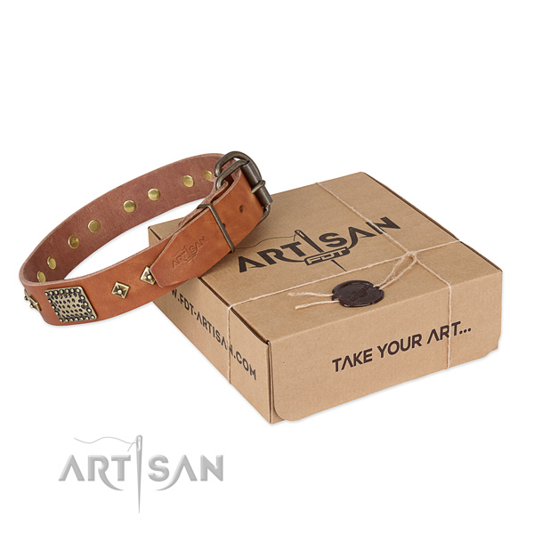 Handmade leather collar for your impressive canine