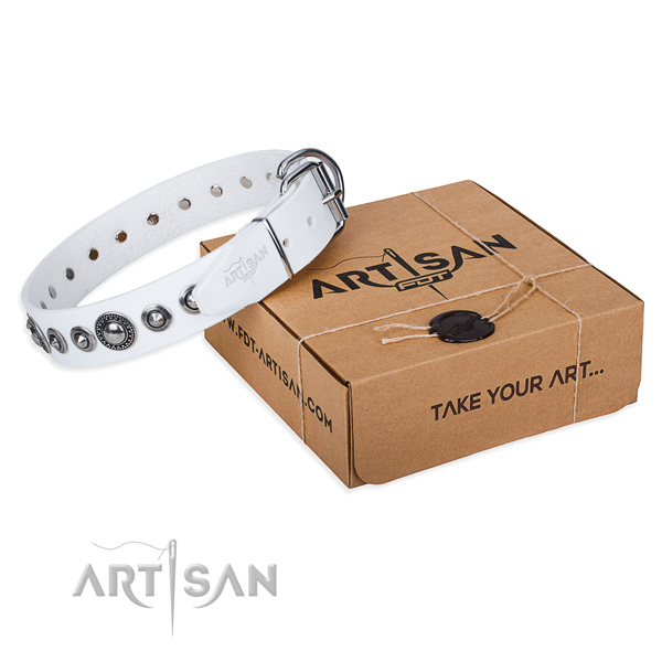 Genuine leather dog collar made of gentle to touch material with durable traditional buckle