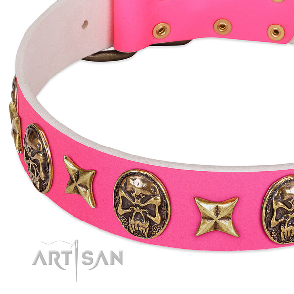 Genuine leather dog collar with extraordinary embellishments