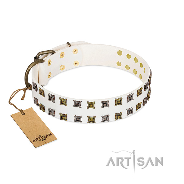 Gentle to touch full grain genuine leather dog collar with studs for your four-legged friend