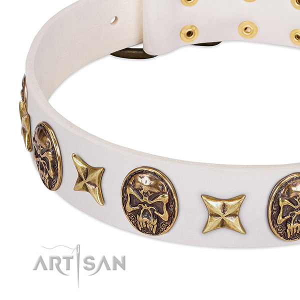 Handcrafted dog collar handcrafted for your attractive doggie
