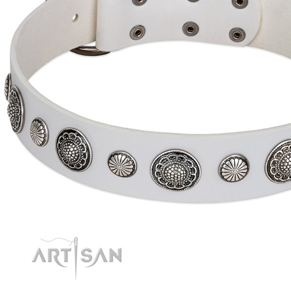 Leather collar with durable hardware for your attractive doggie