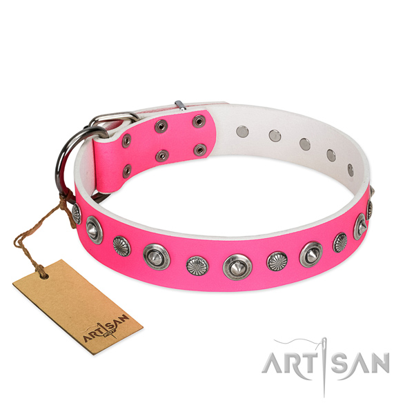 Quality leather dog collar with fashionable studs