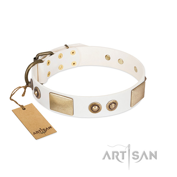 Rust-proof buckle on natural genuine leather dog collar for your four-legged friend