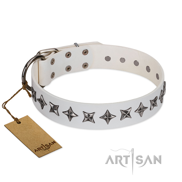 Stylish walking dog collar of fine quality natural leather with studs