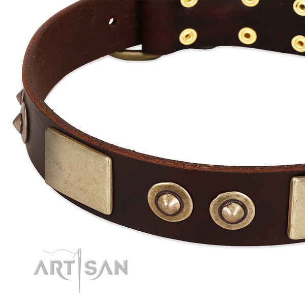 Corrosion proof buckle on leather dog collar for your doggie