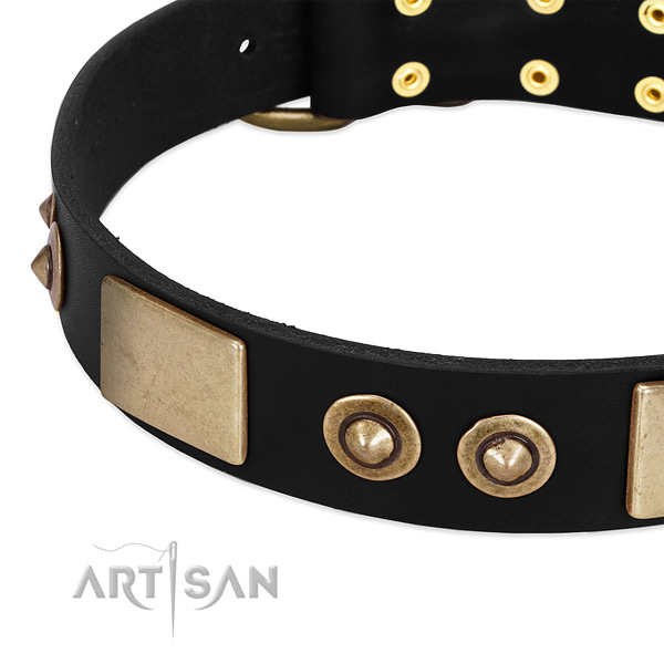 Strong traditional buckle on full grain genuine leather dog collar for your pet