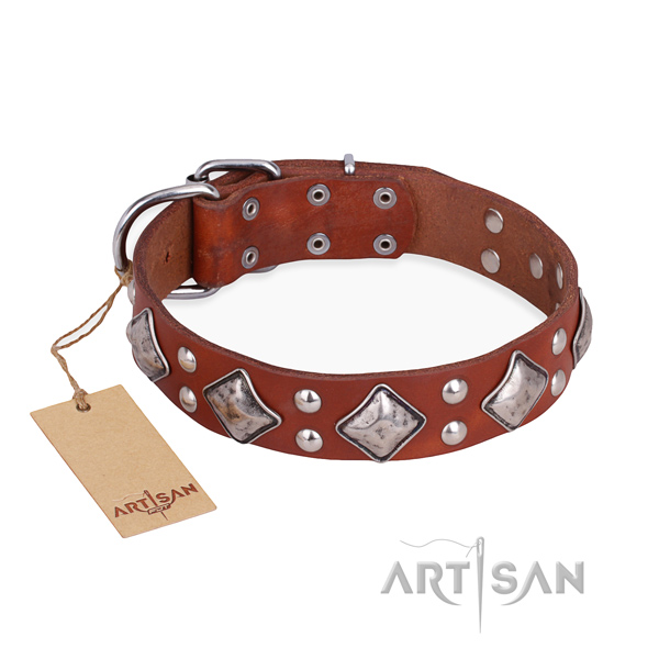 Easy wearing embellished dog collar with rust-proof fittings