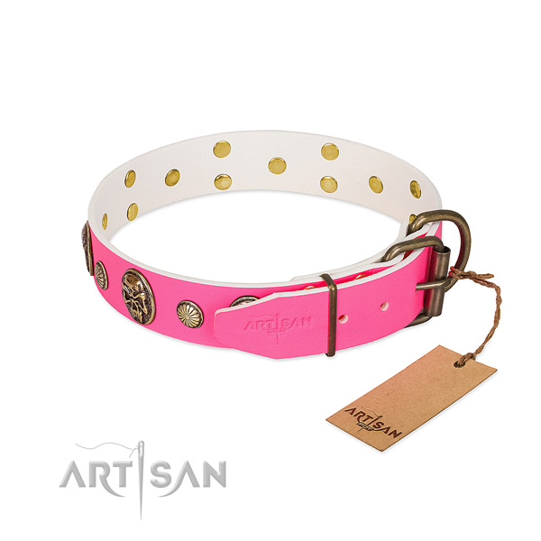 Durable fittings on full grain natural leather dog collar for your pet