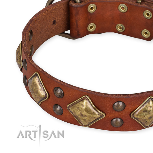 Genuine leather collar with corrosion proof hardware for your stylish four-legged friend