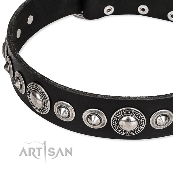 Stylish walking embellished dog collar of finest quality full grain leather