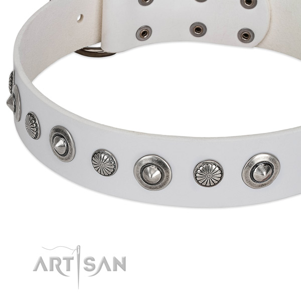 Full grain leather collar with corrosion proof traditional buckle for your attractive four-legged friend