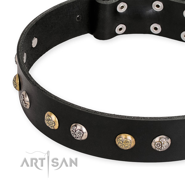 Full grain genuine leather dog collar with stylish design durable adornments