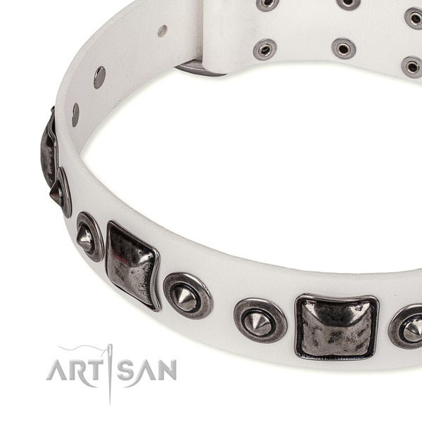 Best quality natural genuine leather dog collar handcrafted for your stylish doggie