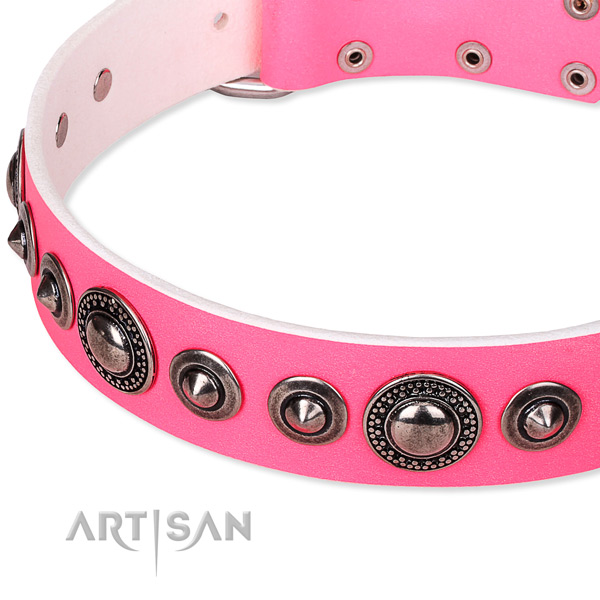 Comfy wearing decorated dog collar of quality full grain genuine leather