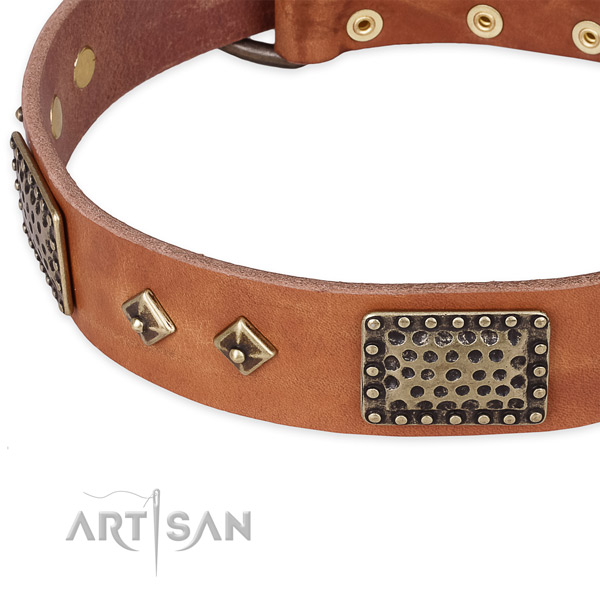 Reliable adornments on genuine leather dog collar for your canine