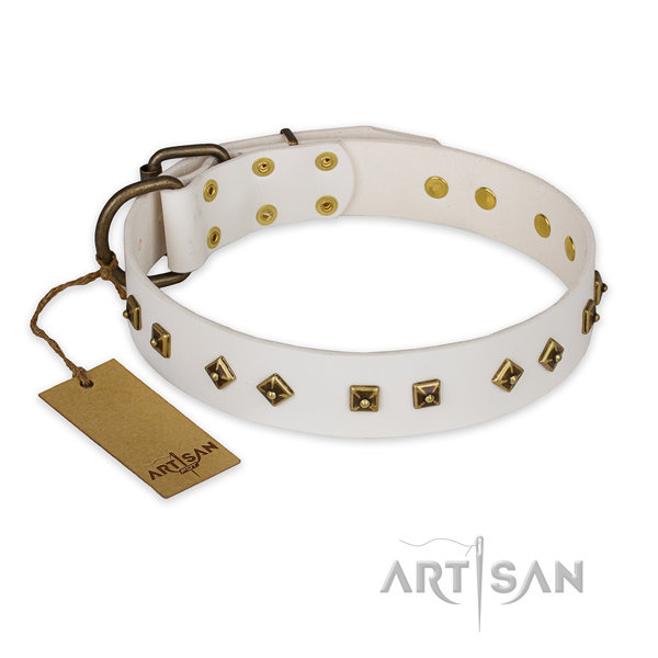 Adorned full grain genuine leather dog collar with durable traditional buckle
