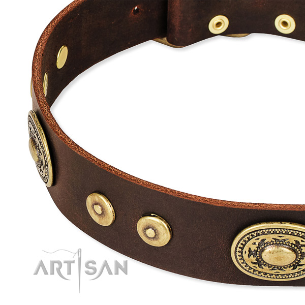Embellished dog collar made of best quality full grain leather