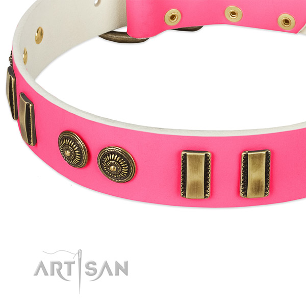 Corrosion proof traditional buckle on full grain natural leather dog collar for your doggie