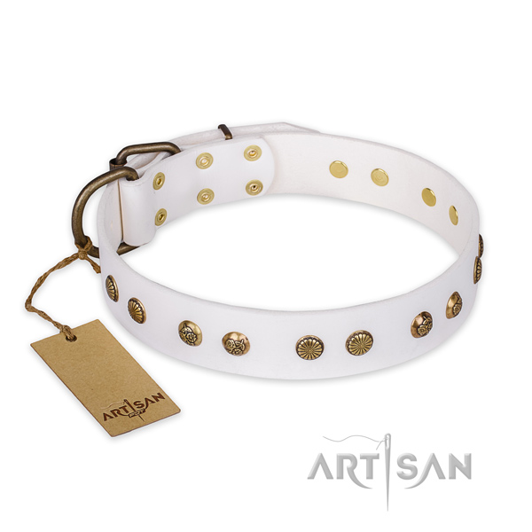 Easy adjustable genuine leather dog collar with strong hardware
