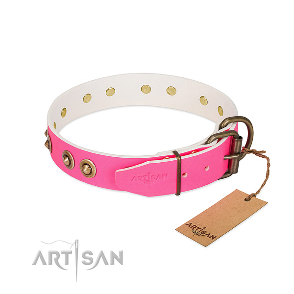 Full grain leather dog collar with rust-proof D-ring and studs