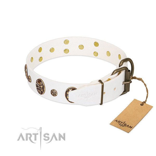 Rust-proof studs on full grain genuine leather dog collar for your four-legged friend