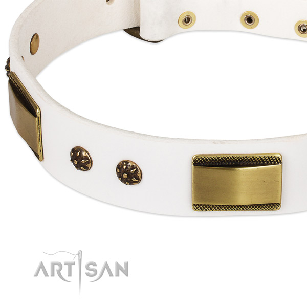 Durable adornments on full grain natural leather dog collar for your dog